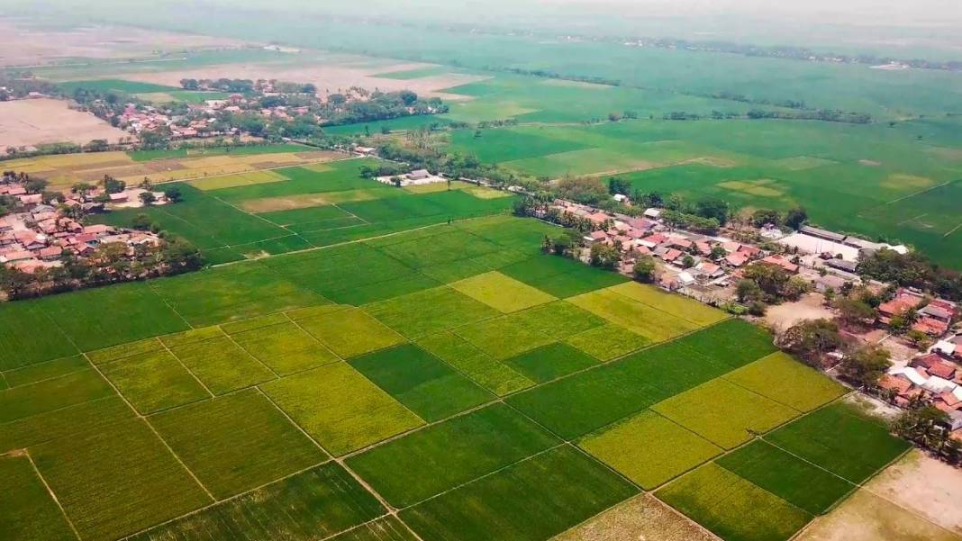 Bu ilden arsa alanlar köşeyi döndü! Yeni İstanbul olması bekleniyor 1